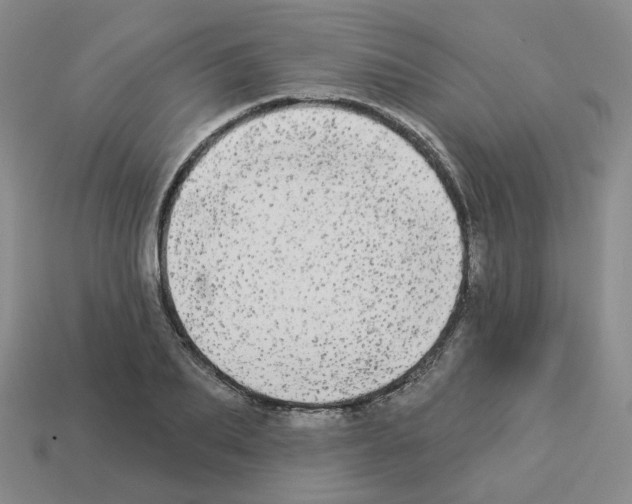 X0000112820887200910021200