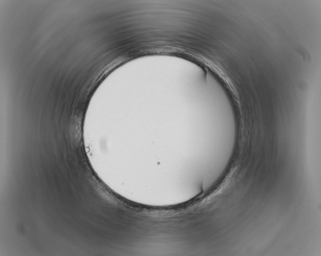 X0000112820889200910021159