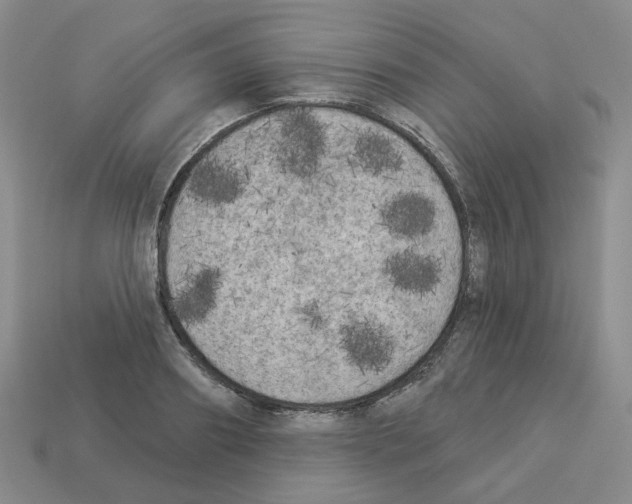 X0000112820890200910021159