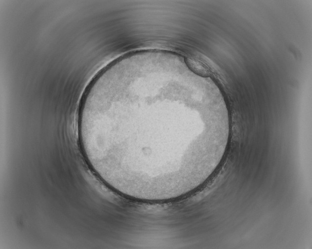 X0000112820892200910021159