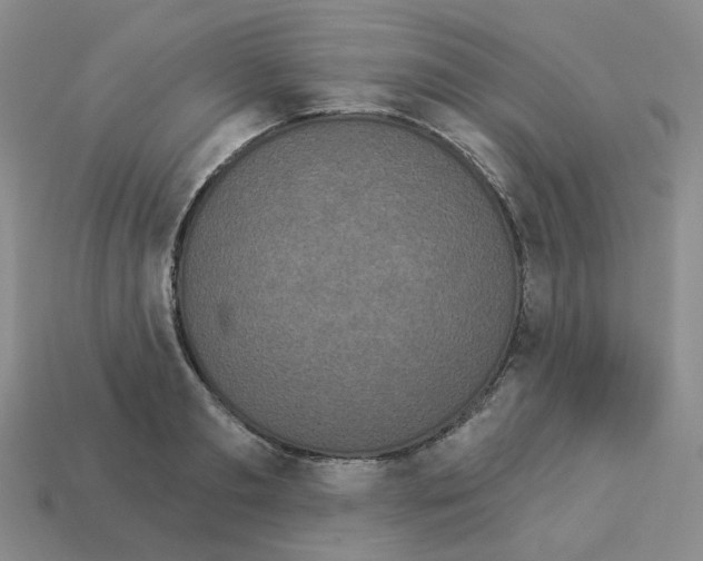 X0000112820893200910021159