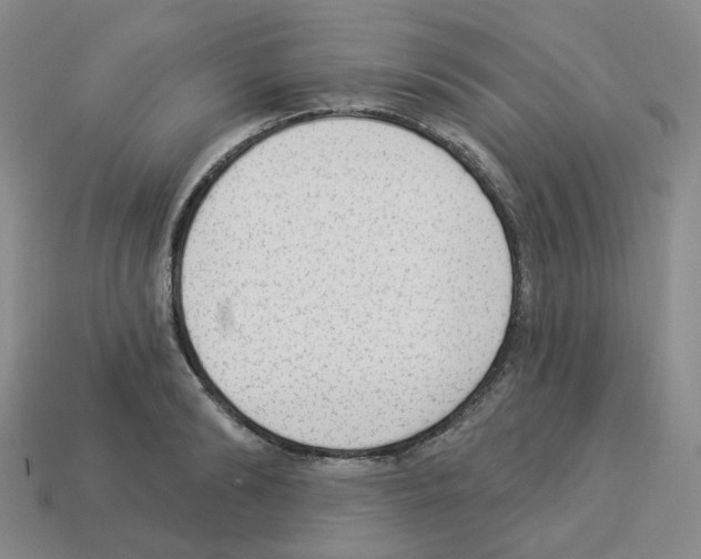 X0000112820894200910021159