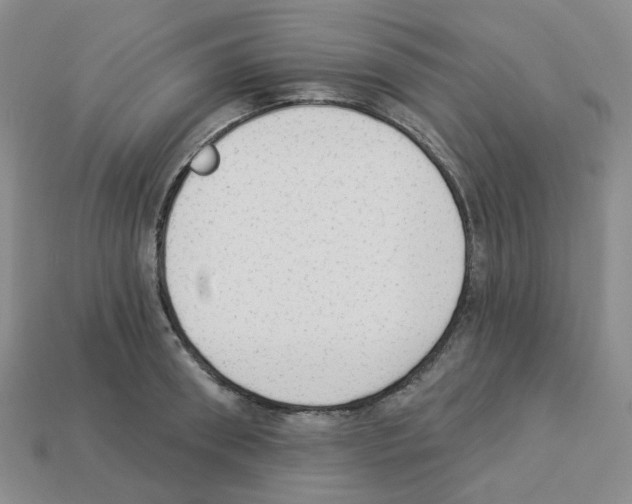 X0000112820898200910021159