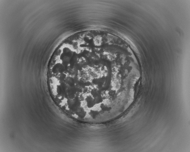 X0000112820899200910021159