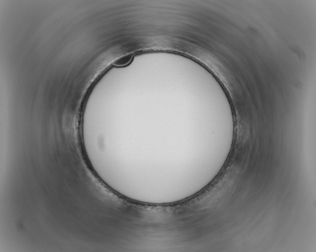 X0000112820901200910021159