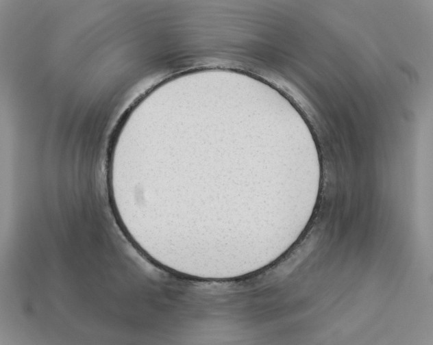 X0000112820902200910021159