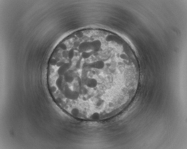 X0000112820903200910021159