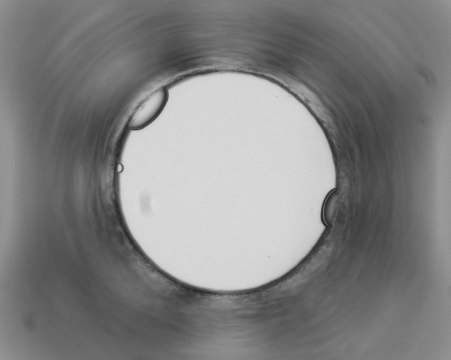 X0000112820904200910021159