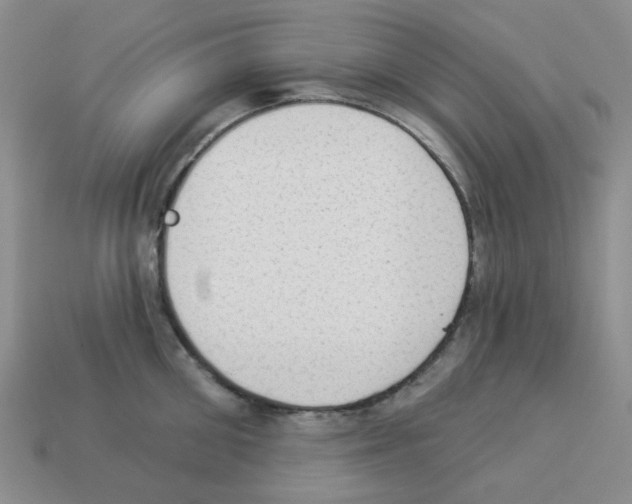 X0000112820906200910021159