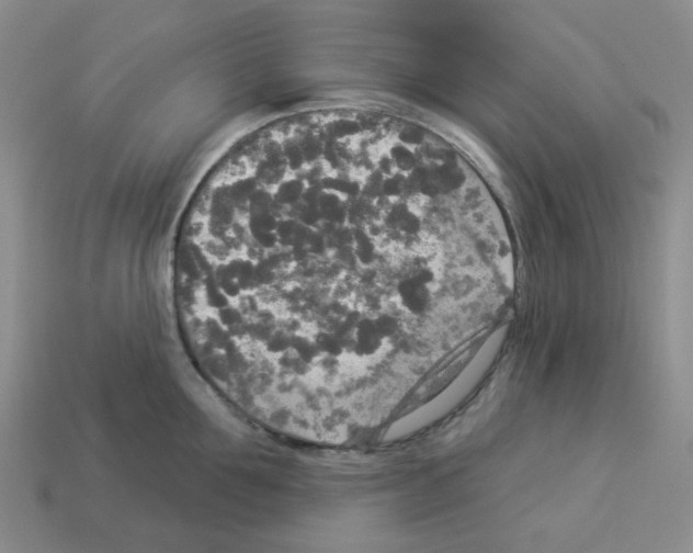 X0000112820907200910021159