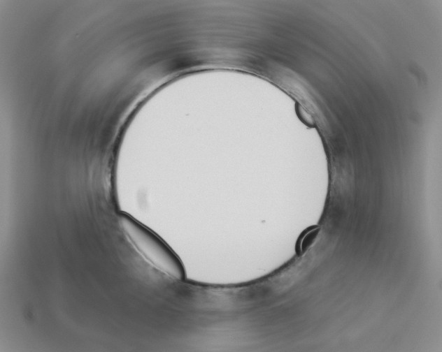 X0000112820908200910021159