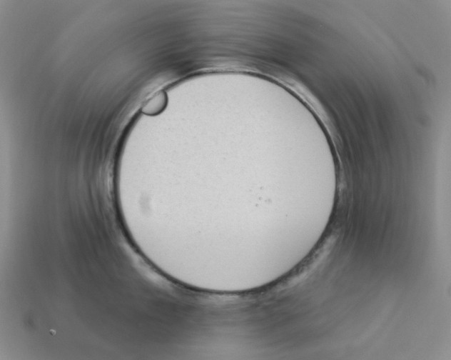 X0000112820909200910021159