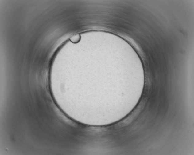 X0000112820910200910021159