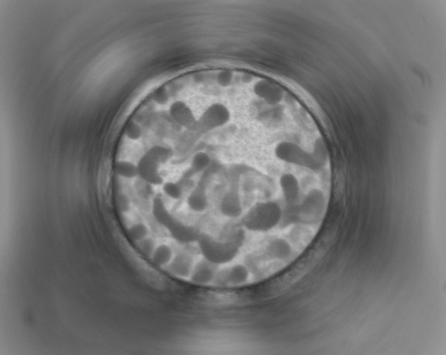 X0000112820911200910021159