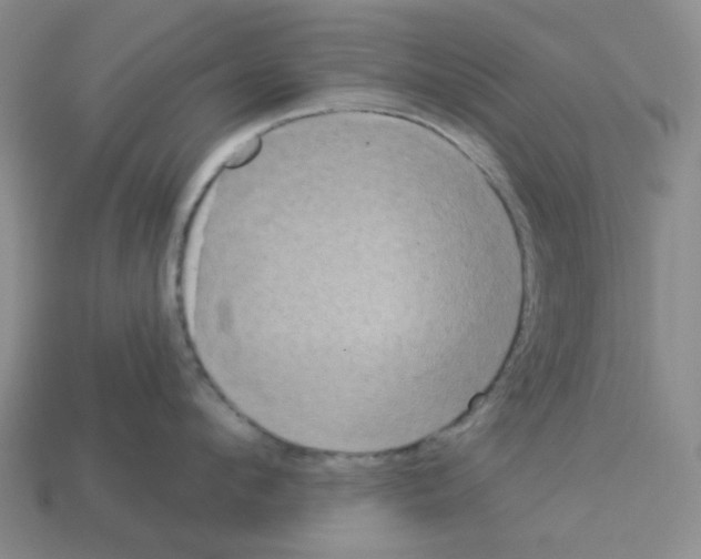 X0000112820912200910021159