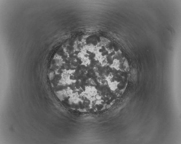 X0000112820913200910021158