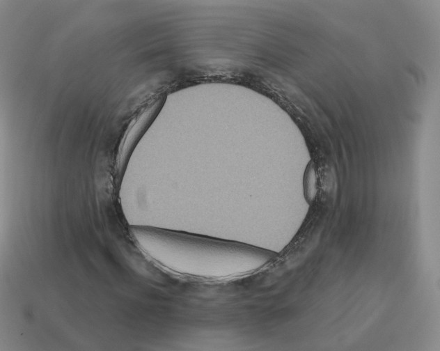 X0000112820916200910021158