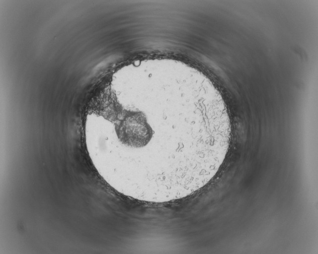 X0000112820918200910021158