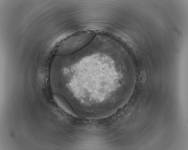 X0000112820920200910021158