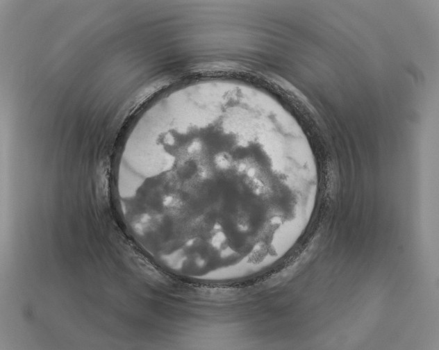 X0000112820921200910021158