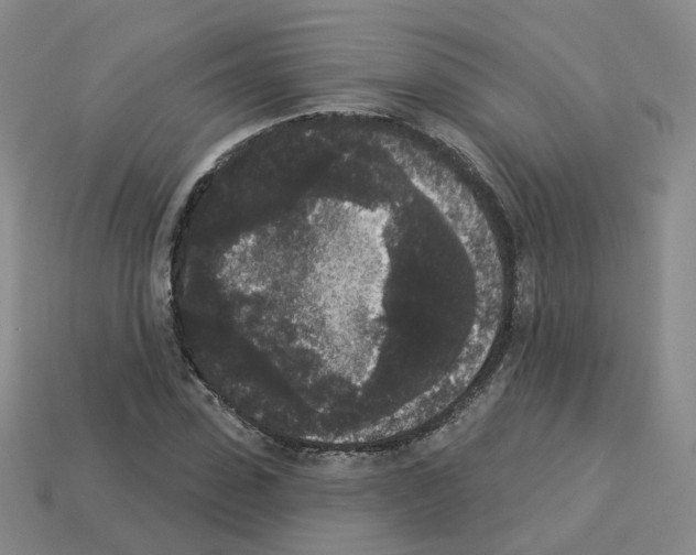 X0000112820923200910021159