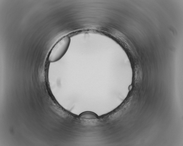 X0000112820924200910021159