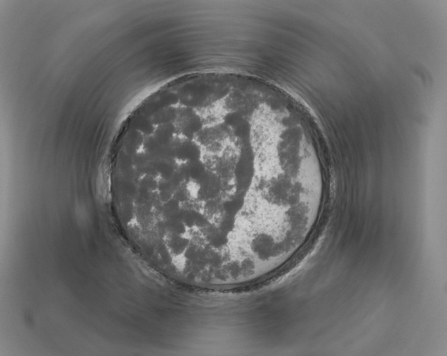 X0000112820925200910021159