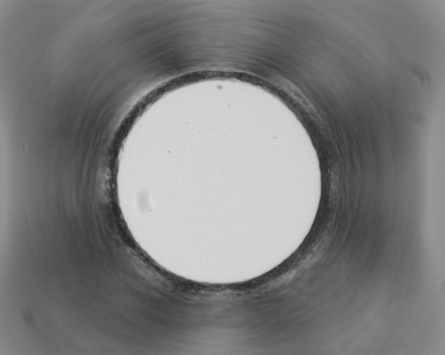 X0000112820926200910021159