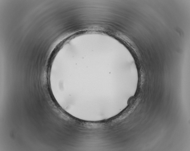 X0000112820928200910021159