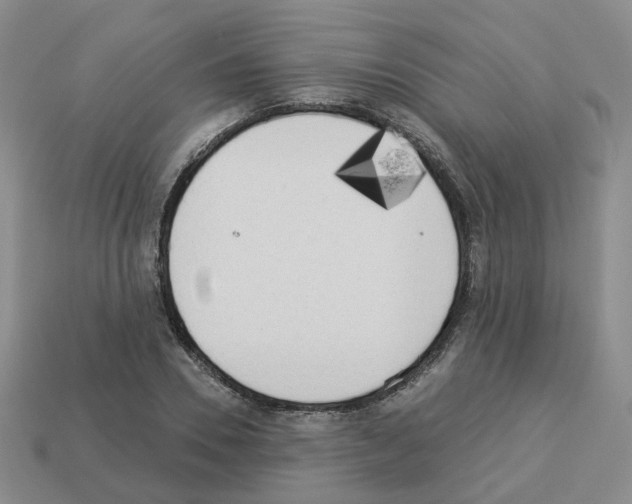 X0000112820930200910021159