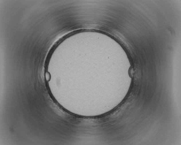 X0000112820932200910021159