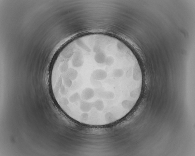 X0000112820933200910021159