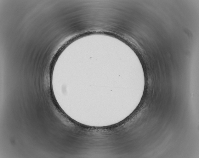 X0000112820934200910021159