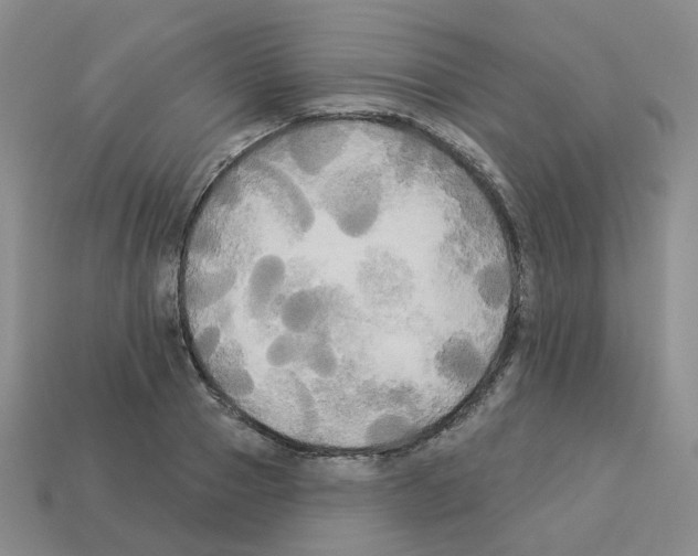 X0000112820937200910021159