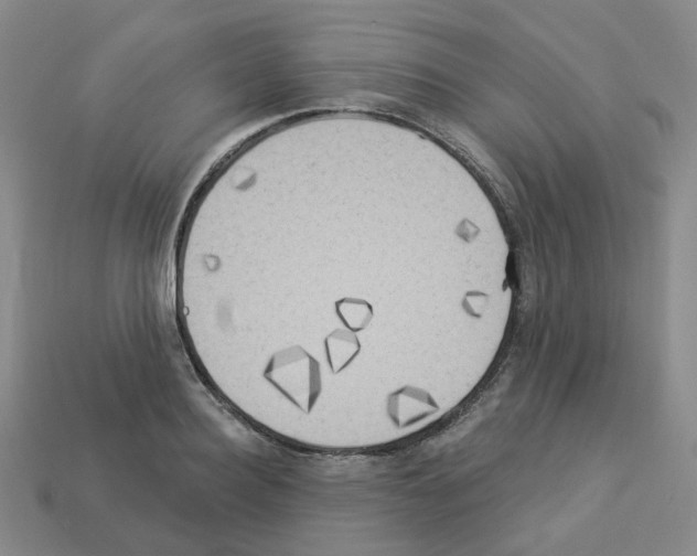 X0000112820940200910021159