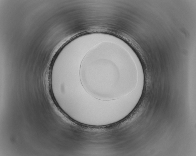 X0000112820941200910021159