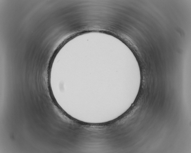 X0000112820942200910021159