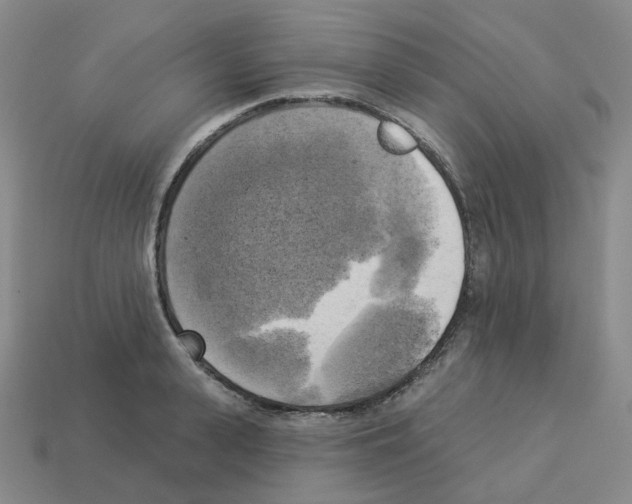 X0000112820943200910021159