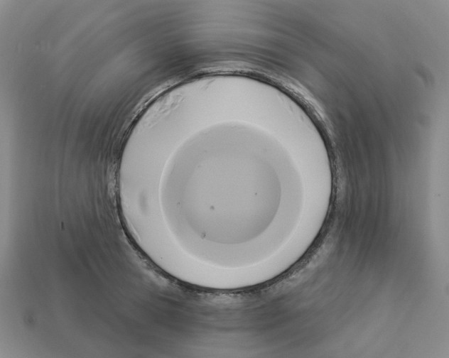 X0000112820945200910021159