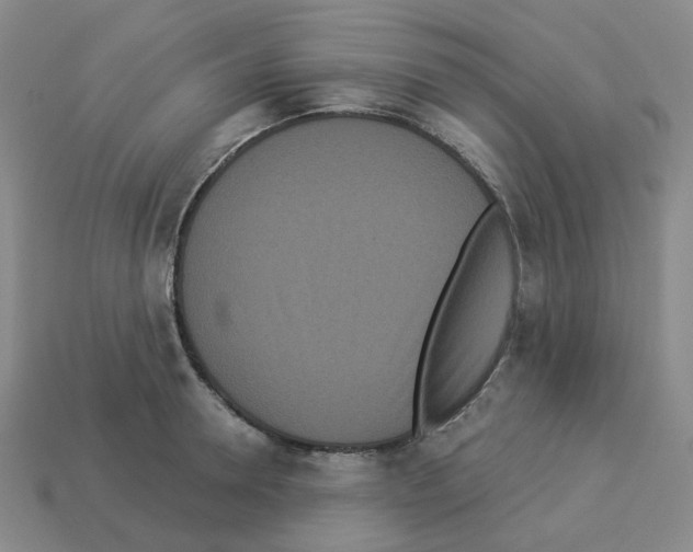 X0000112820946200910021159