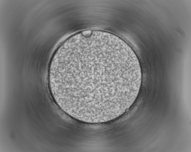 X0000112820948200910021159