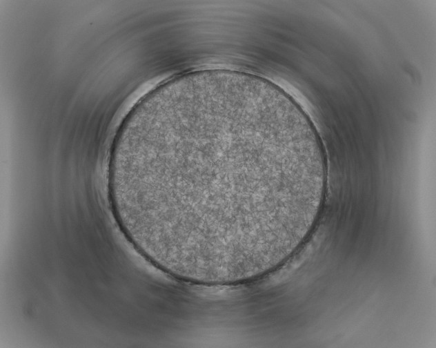 X0000112820949200910021159