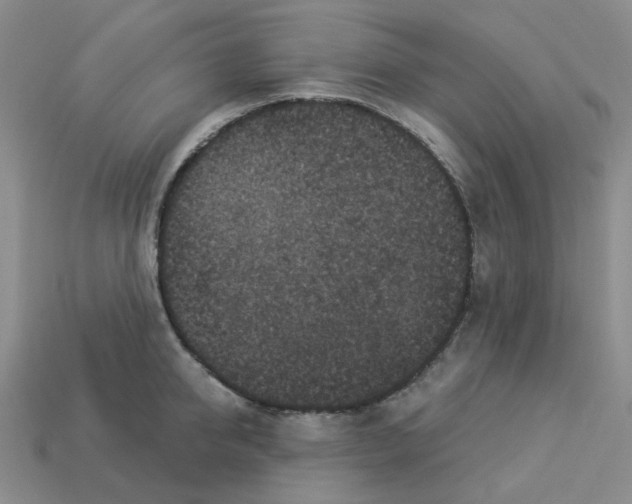 X0000112820950200910021159