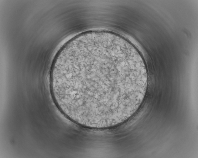 X0000112820951200910021159