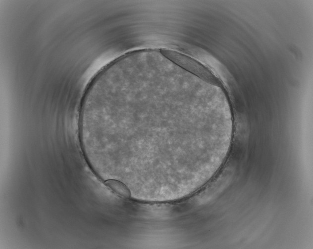 X0000112820952200910021159