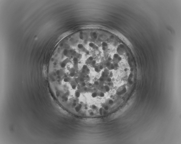 X0000112820953200910021159