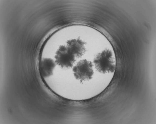 X0000112820955200910021159