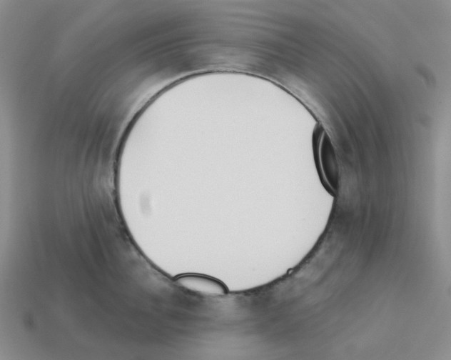 X0000112820956200910021159