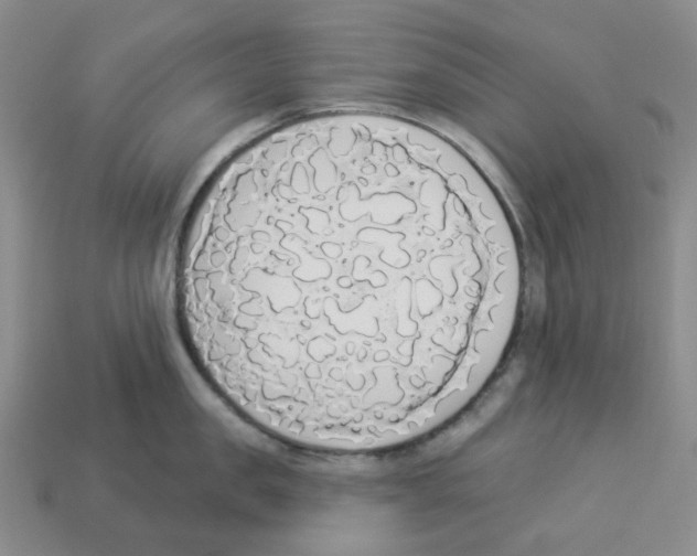 X0000112820957200910021159