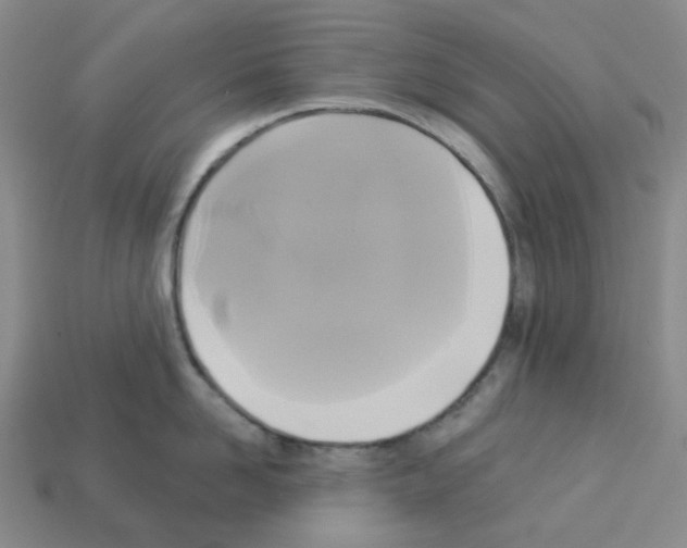 X0000112820958200910021159